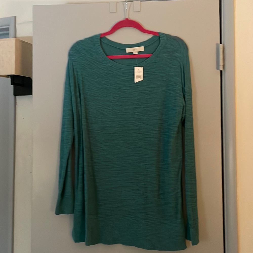Loft Blue Long Sleeve Sweater